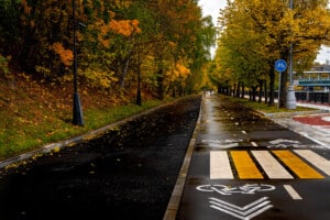 Golden autumn path lined with trees, evoking the countryside around Chatton in autumn