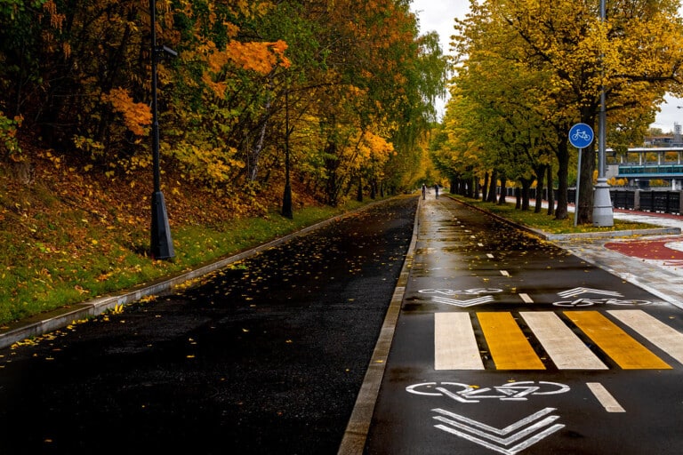 Golden autumn path lined with trees, evoking the countryside around Chatton in autumn