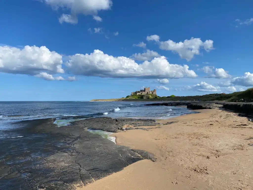 f07558b8 bc71 433a 99f1 a41799ebe17a